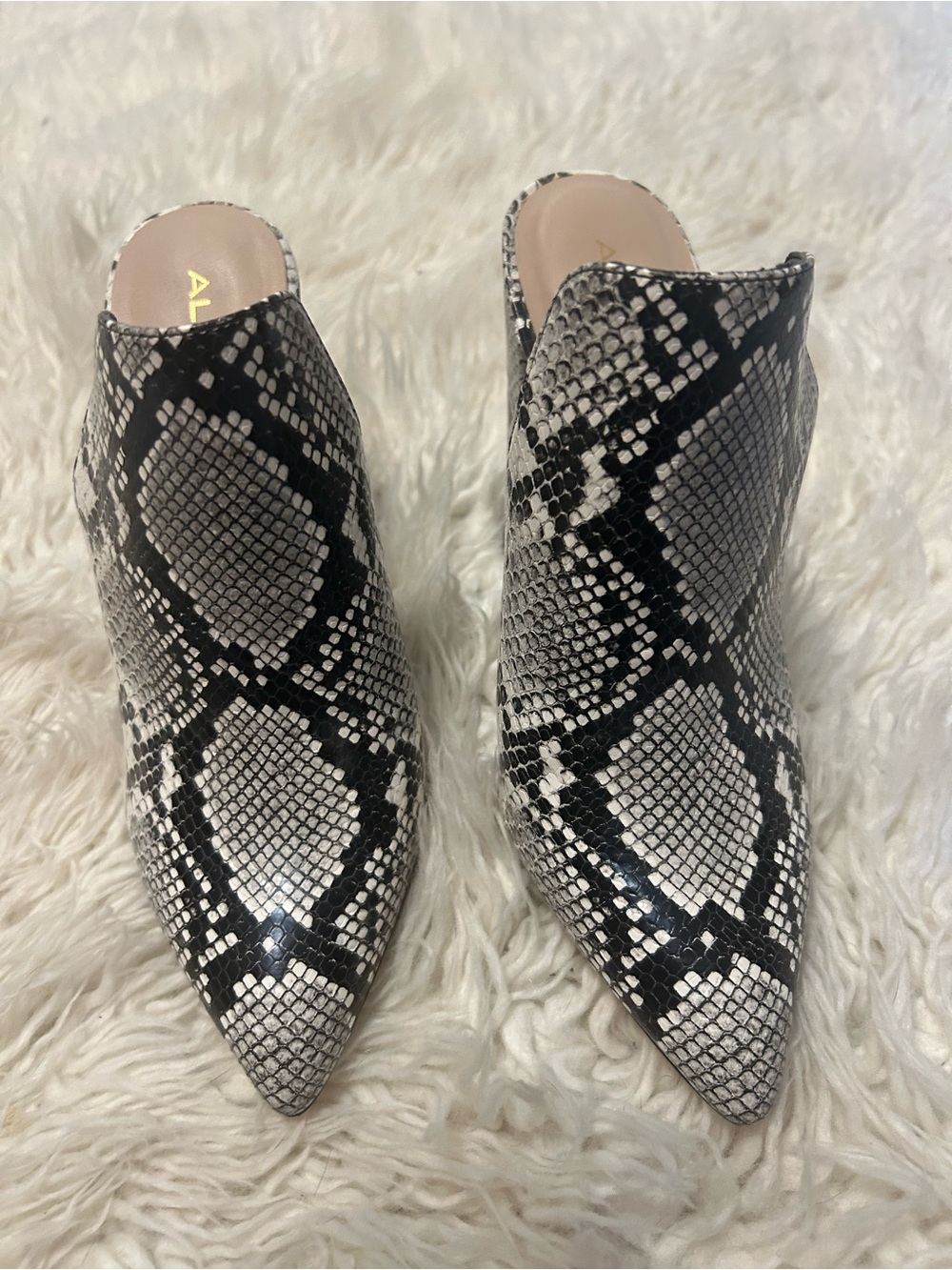 ALDO Snake-Print Pointed Toe Mule in Black and White